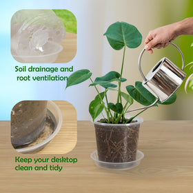 TNTIWQ pot with drainage holes provides ventilation and prevents waterlogging for healthy roots.