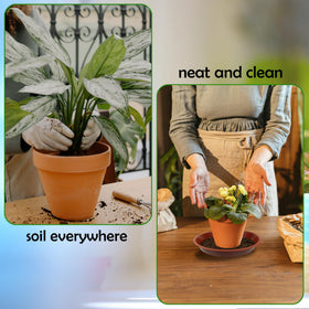 TNTIWQ high-edge saucer 6-pack catching drips and soil to keep surfaces clean.