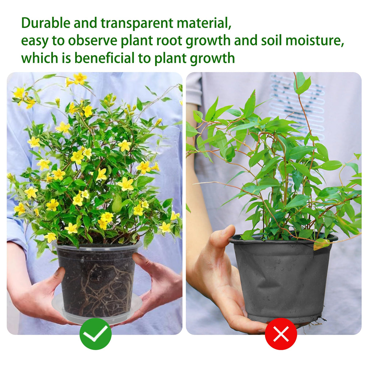 TNTIWQ pots ideal for indoor seed germination and transplanting tasks.
