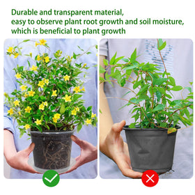 TNTIWQ pots ideal for indoor seed germination and transplanting tasks.