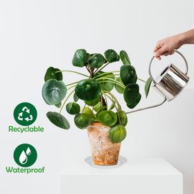 TNTIWQ indoor-outdoor plant saucer protects furniture from spills