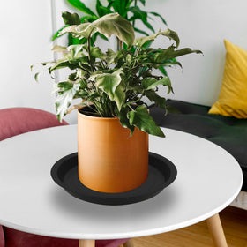 TNTIWQ sturdy 8-inch saucer for heavy pots and stable setup.