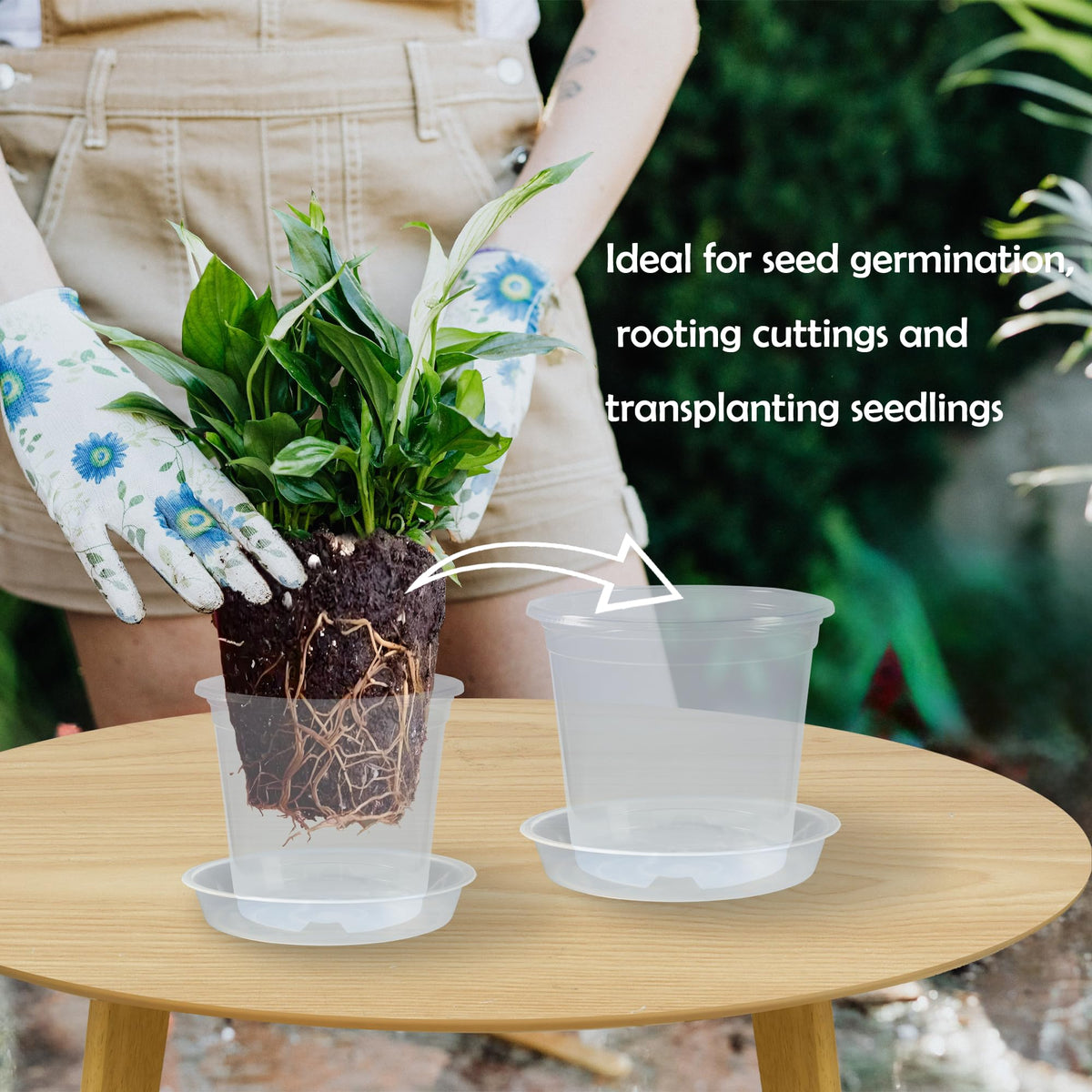 TNTIWQ clear pot shows root growth through transparent walls for planning.