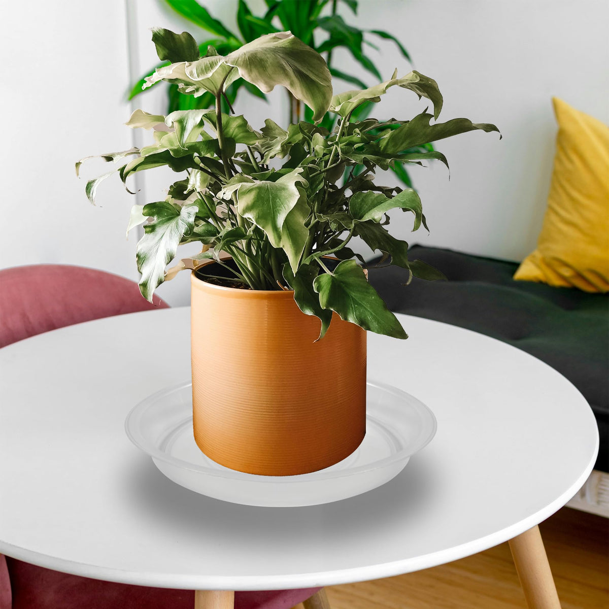 TNTIWQ surface-protection saucer keeps tables clean during watering