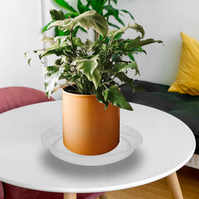 TNTIWQ surface-protection saucer keeps tables clean during watering