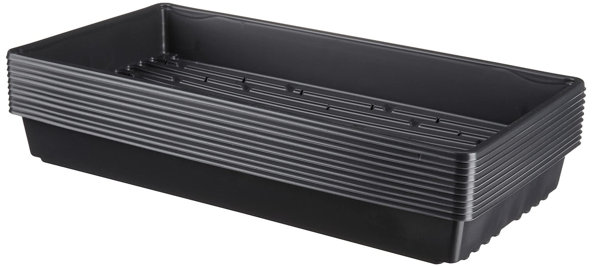 TO Plastics seed starting tray with perforated surface for airflow and seedlings.