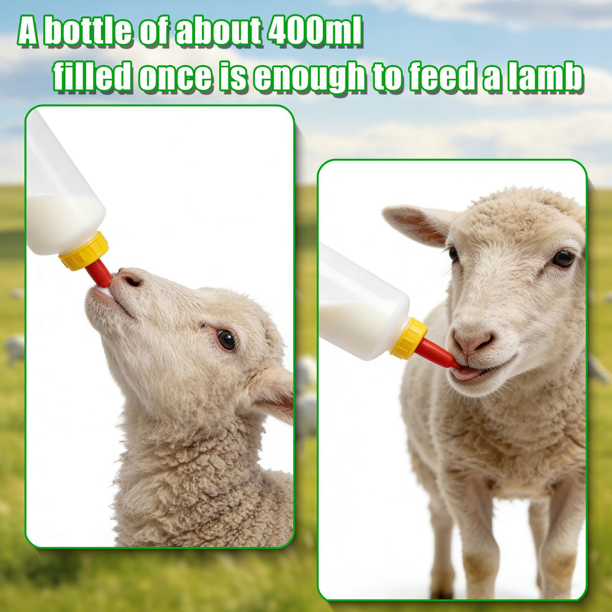 TOAINRSI goat-nipple-bottles-60ml ready for reliable small-animal feeding tasks