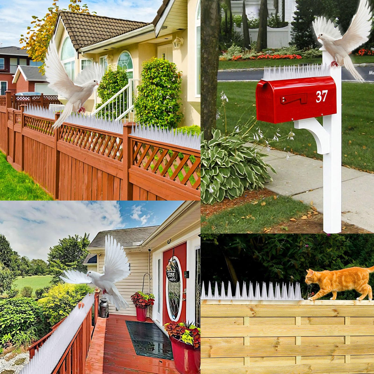 TOBWOLF wide-coverage spikes deter intruders while remaining humane on birds.