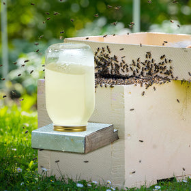 Toddmomy bee feeder lid weatherproof construction protects water quality and durability.