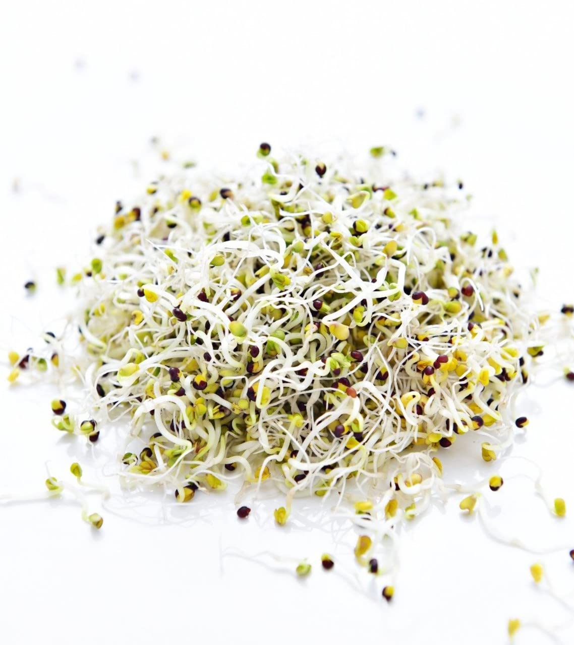 Todd's Seeds heirloom Calabrese seeds with preserved traits.