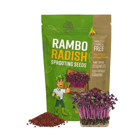 Todd's Seeds Rambo sprouts in a red-purple bowl, perfect for vibrant salads.