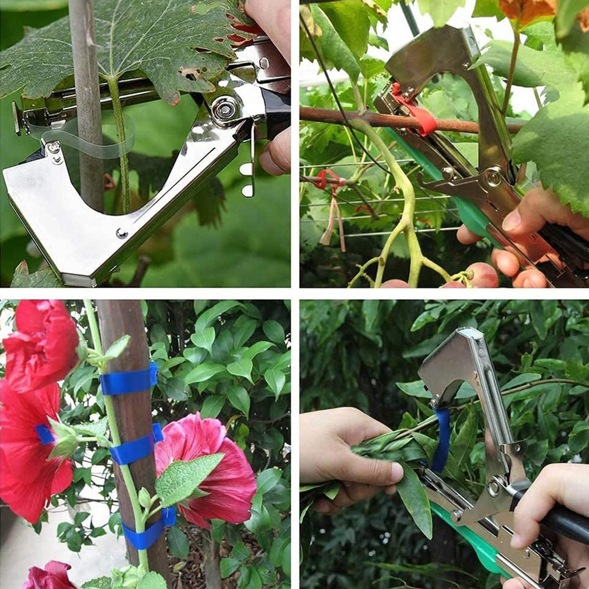 TOGETDREAM adjustable-width opening fits various vine thicknesses during tying.