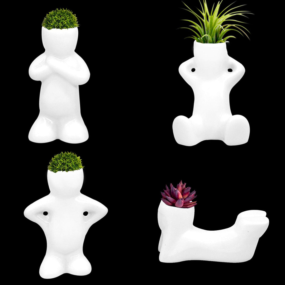 Together-life 4-pack ceramic air plant holders create a compact tabletop display.