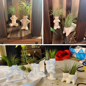 Together-life minimalist ceramic air plant holder fits tiny plants beautifully.