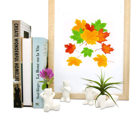 Together-life table-top display air head planter for modern home offices.
