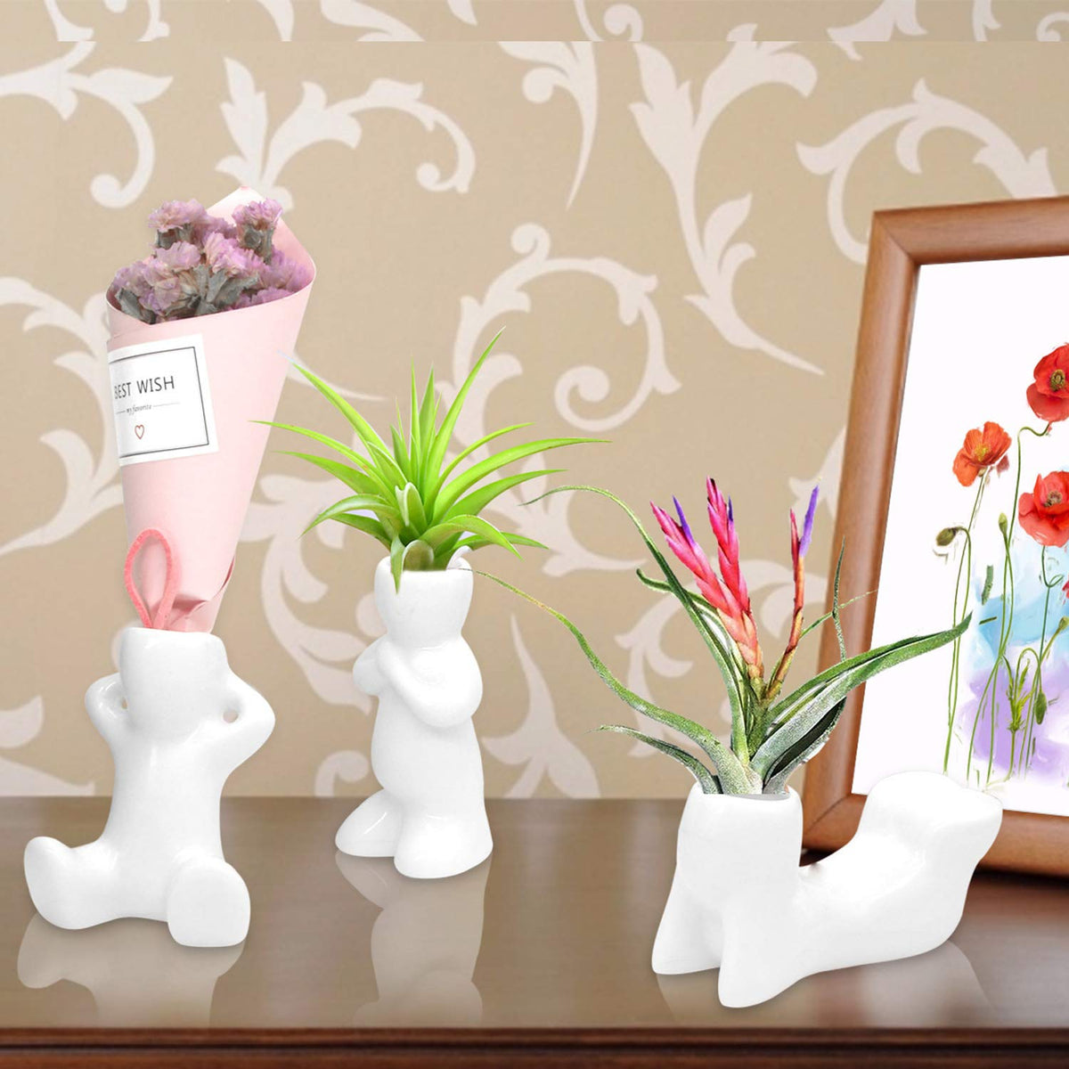 Together-life white ceramic air plant pot for desktop display and easy care.