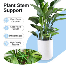 Tokyzexi 2.32-inch plant stem support secures small shoots