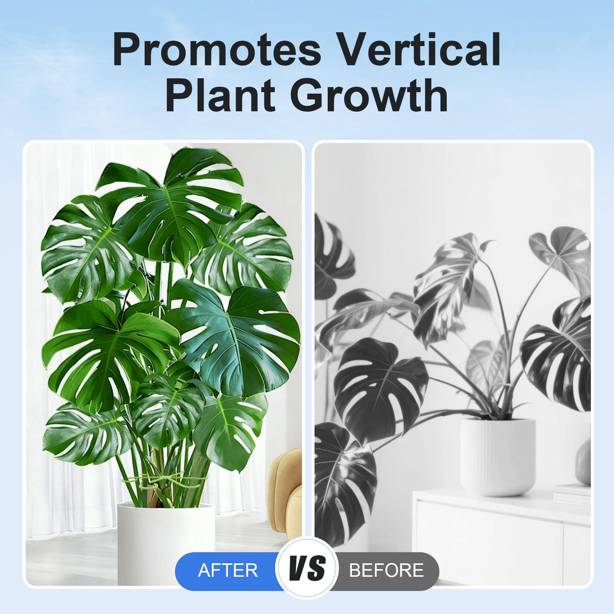 Tokyzexi 3.07-inch plant stem support prevents drooping of medium stems
