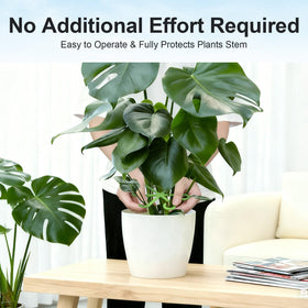 Tokyzexi indoor plant stems with supports improve airflow and light exposure