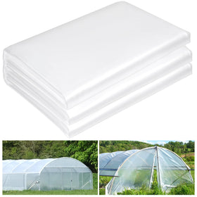 ToLanbbt clear greenhouse film for even light distribution and healthy seedlings.