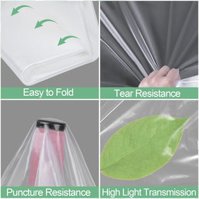 ToLanbbt light-transmission greenhouse film aids even germination and growth.