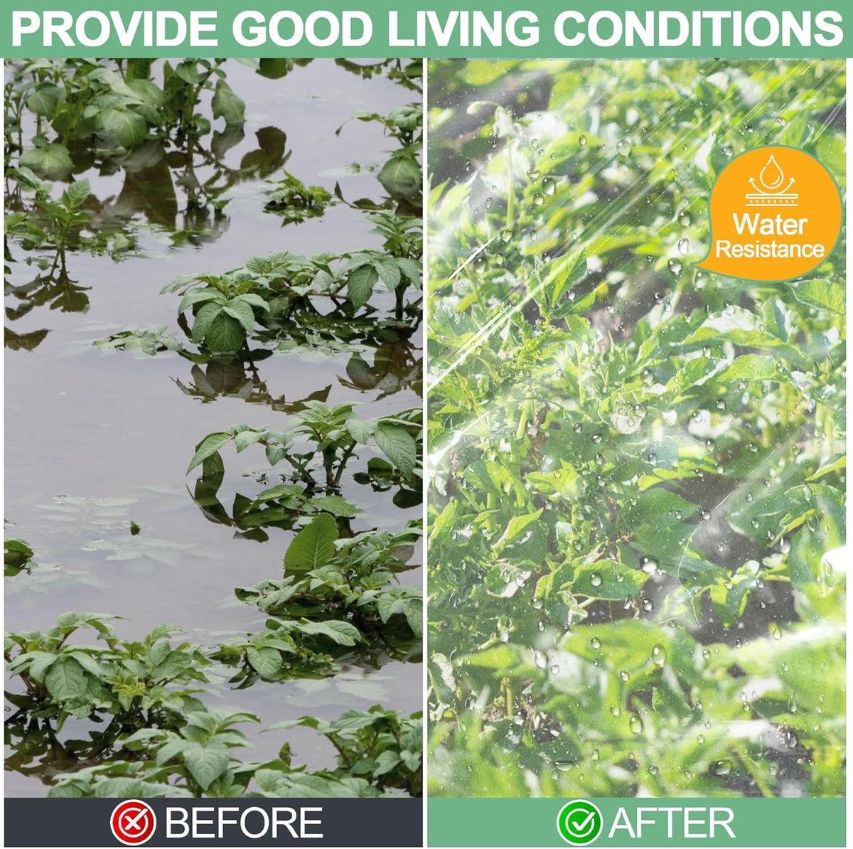 ToLanbbt wide-application greenhouse film supports farming and DIY projects.