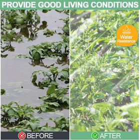 ToLanbbt winter-use greenhouse film maintains interior warmth for crops.