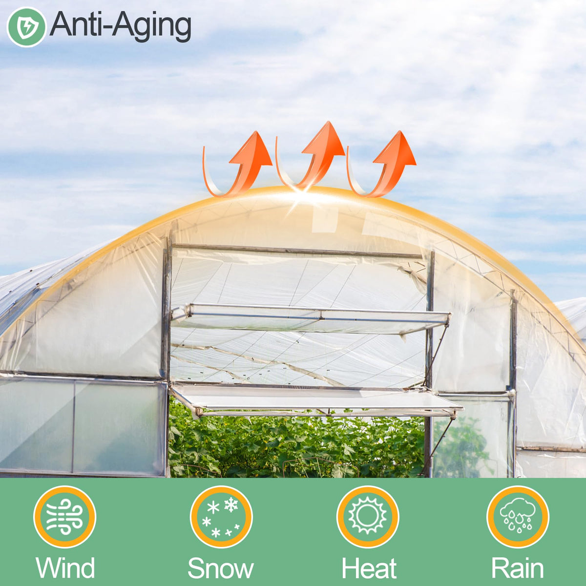 ToLanbbt year-round cover protects crops in winter and summer
