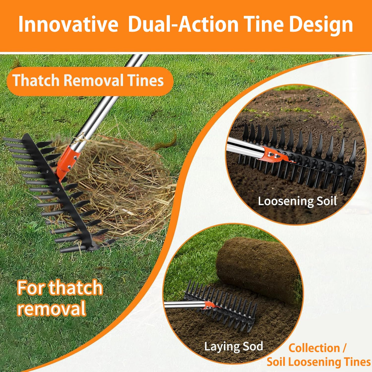 Tolia dethatching rake shows carbon steel head built for durability on tough soil.