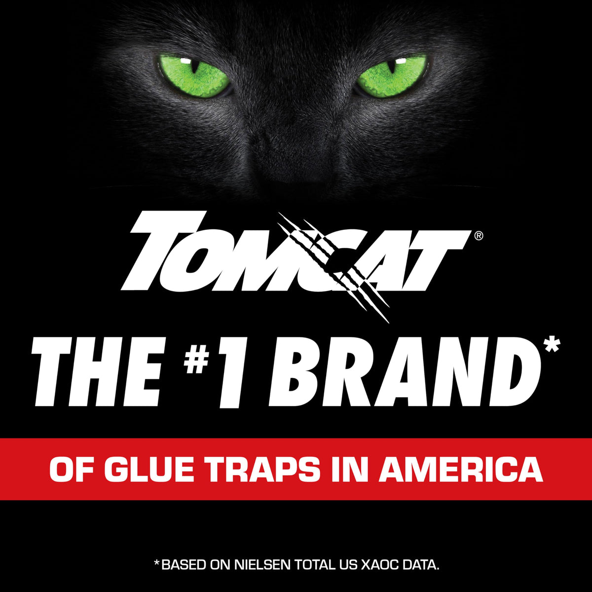 Tomcat Glue Traps disposal after use keeps homes clean and pest-free