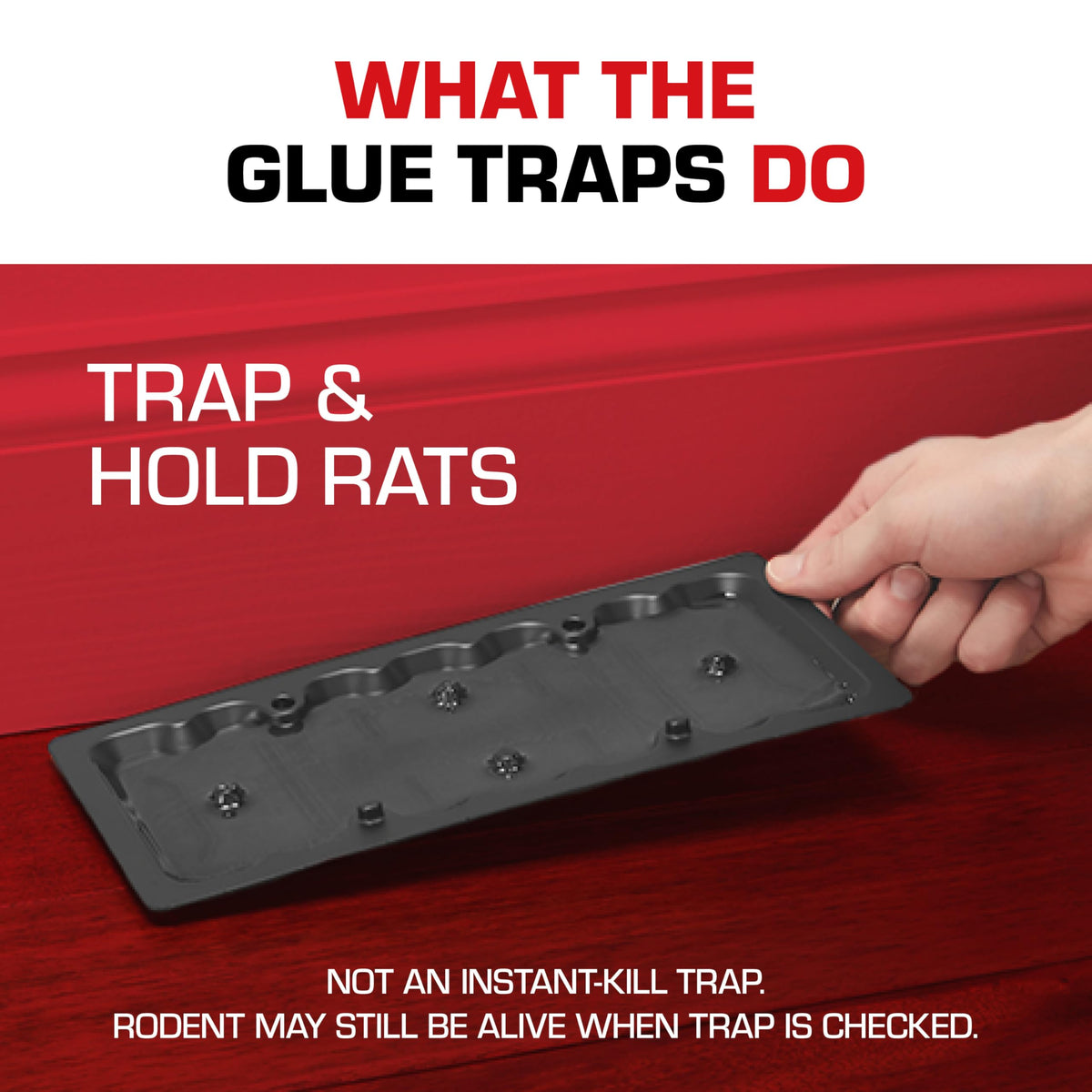 Tomcat Glue Traps come in a two-trap pack for quick coverage