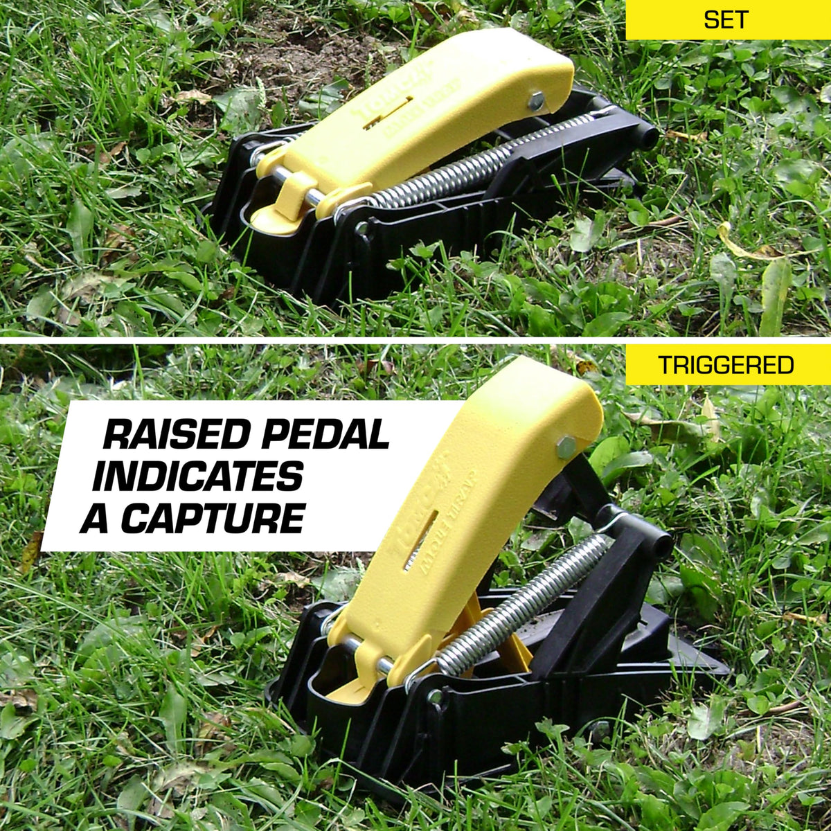 Tomcat Mole Trap tunnel placement lets you locate active runs efficiently.