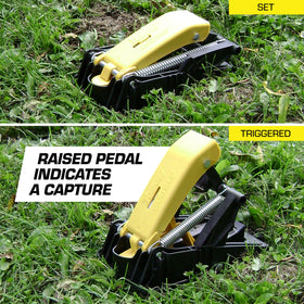 Tomcat Mole Trap tunnel placement lets you locate active runs efficiently.