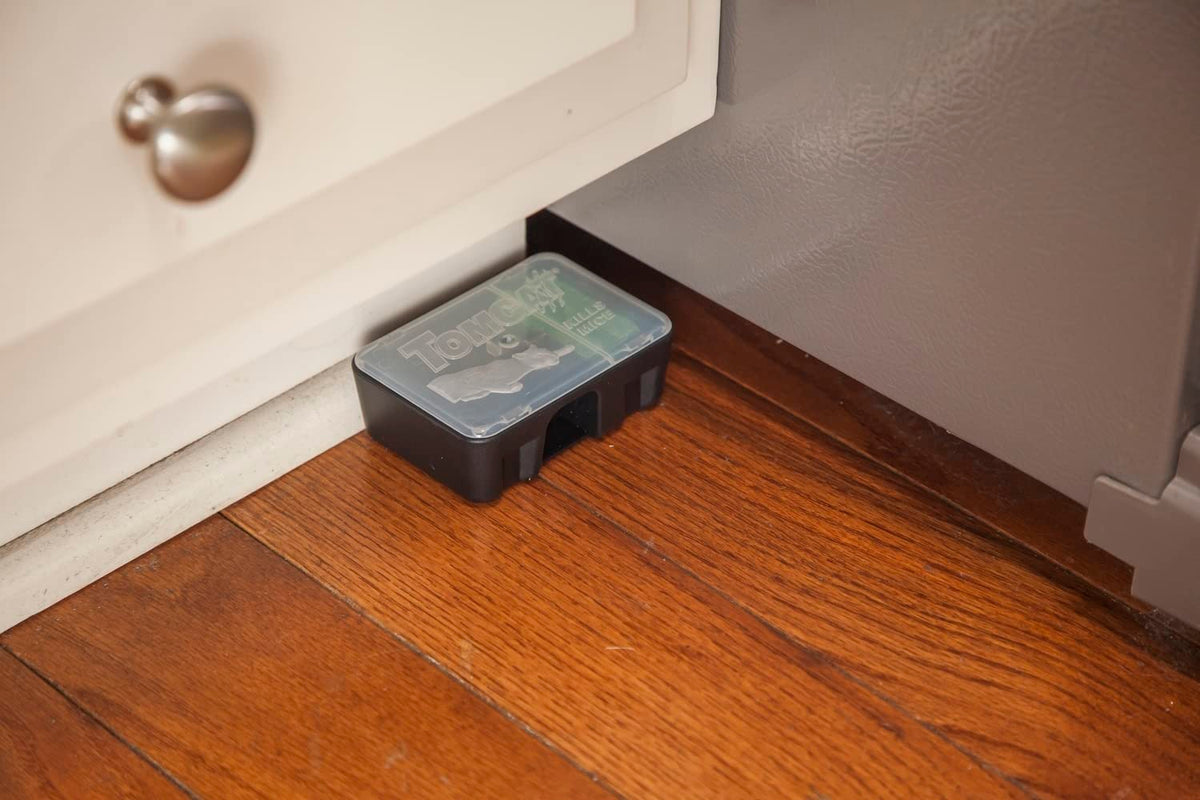 Tomcat Mouse Killer station with bait block inside for targeted mouse exposure.