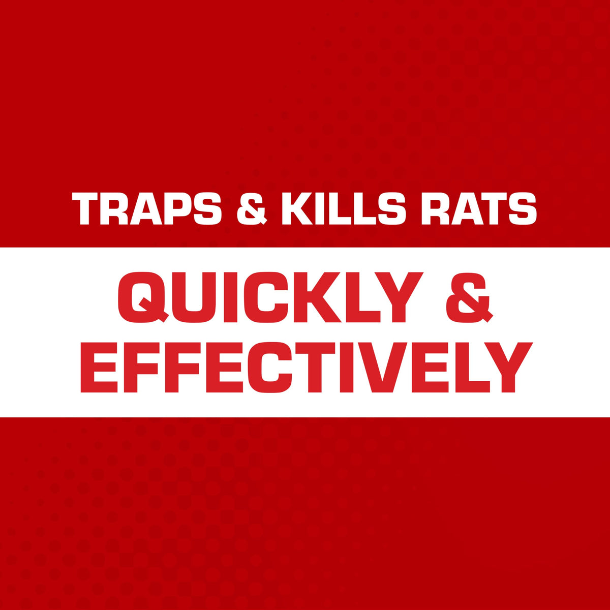 Tomcat Secure-Kill Rat Trap bait-well demonstrates lure-ready area for effective trapping