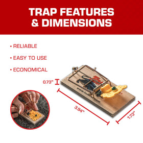 Tomcat wooden mouse trap action captures a mouse reliably.