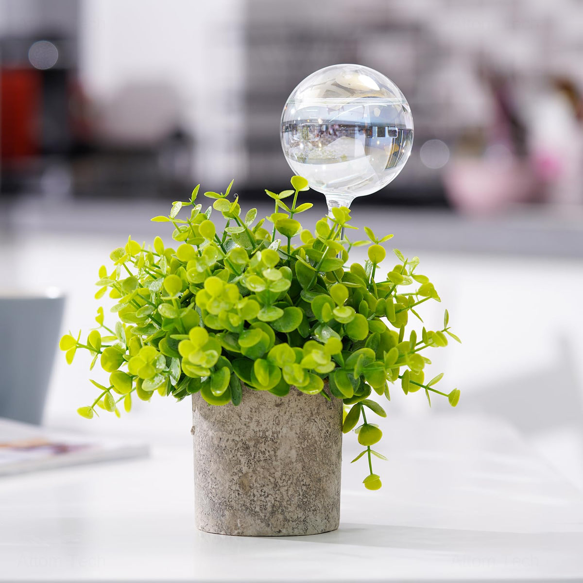 Tomorotec durable glass bulbs require careful handling and avoiding forcing into soil.