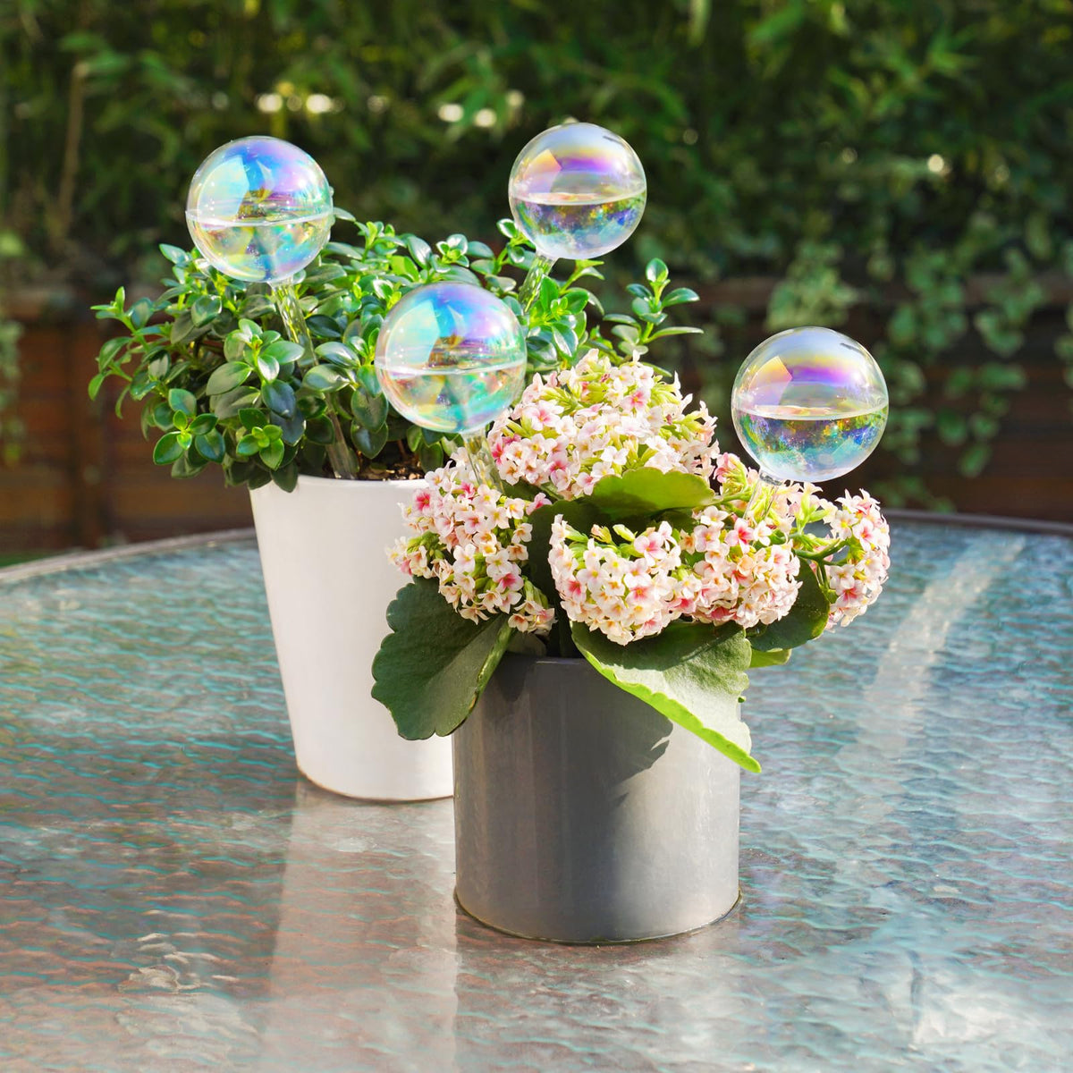 Tomorotec easy-fill glass bulbs filled to about 80% simplify moisture management.