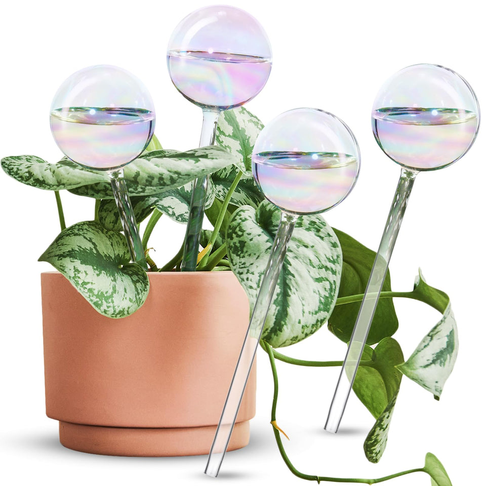 Tomorotec glass self-watering spikes with rainbow gradient for consistent indoor plant watering.