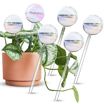 Tomorotec rainbow glass self-watering spike ready to hydrate houseplants.