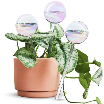 Tomorotec rainbow glass self-watering spike in a pot for steady moisture