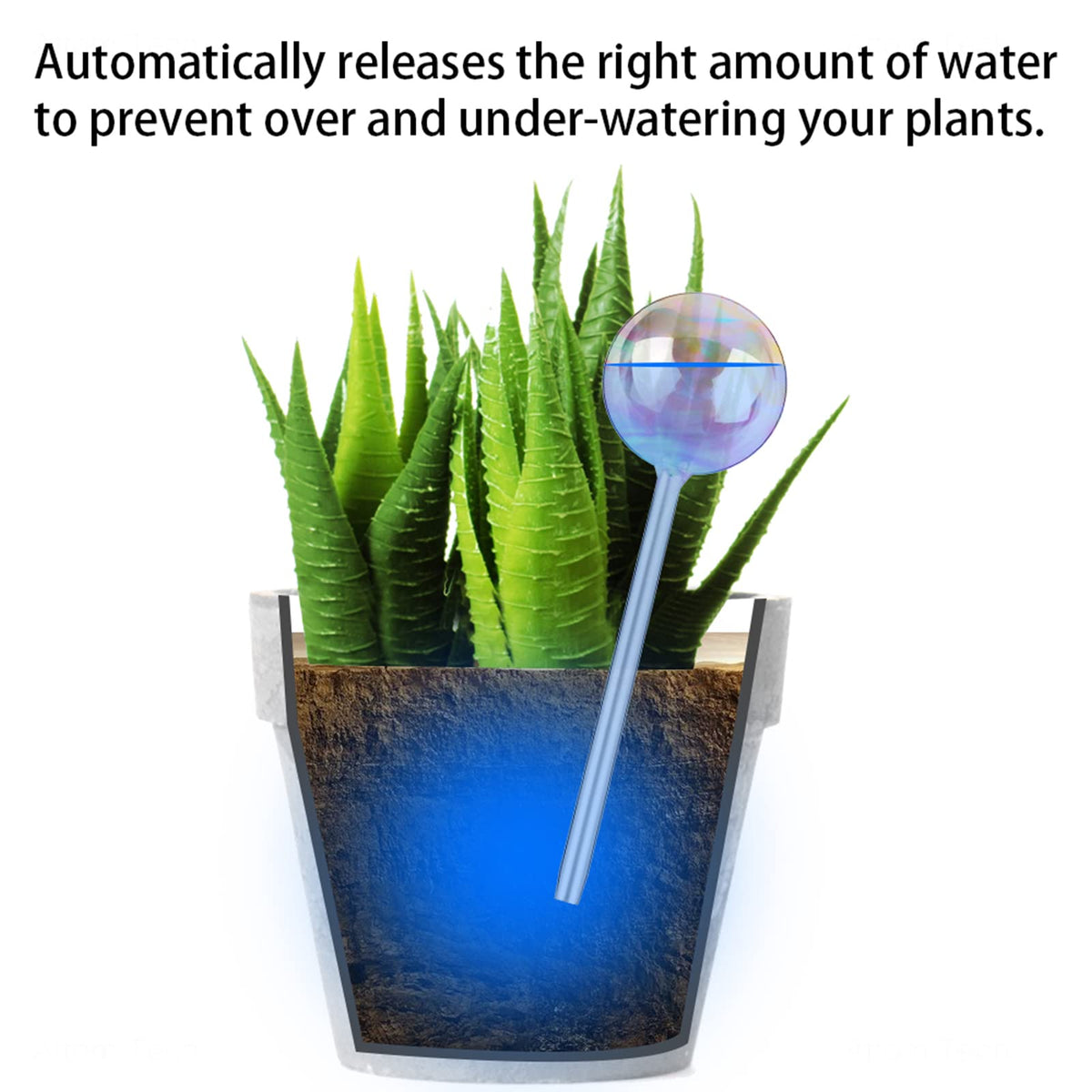 Tomorotec clear glass waterer bulb delivers steady moisture to soil.