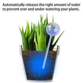 Tomorotec glass spike set with iridescent gradient for decorative irrigation