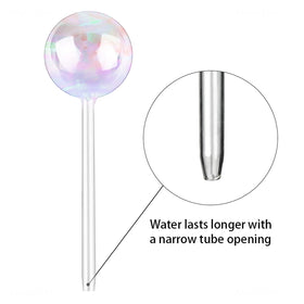 Tomorotec rainbow glass spike insert in soil to regulate moisture