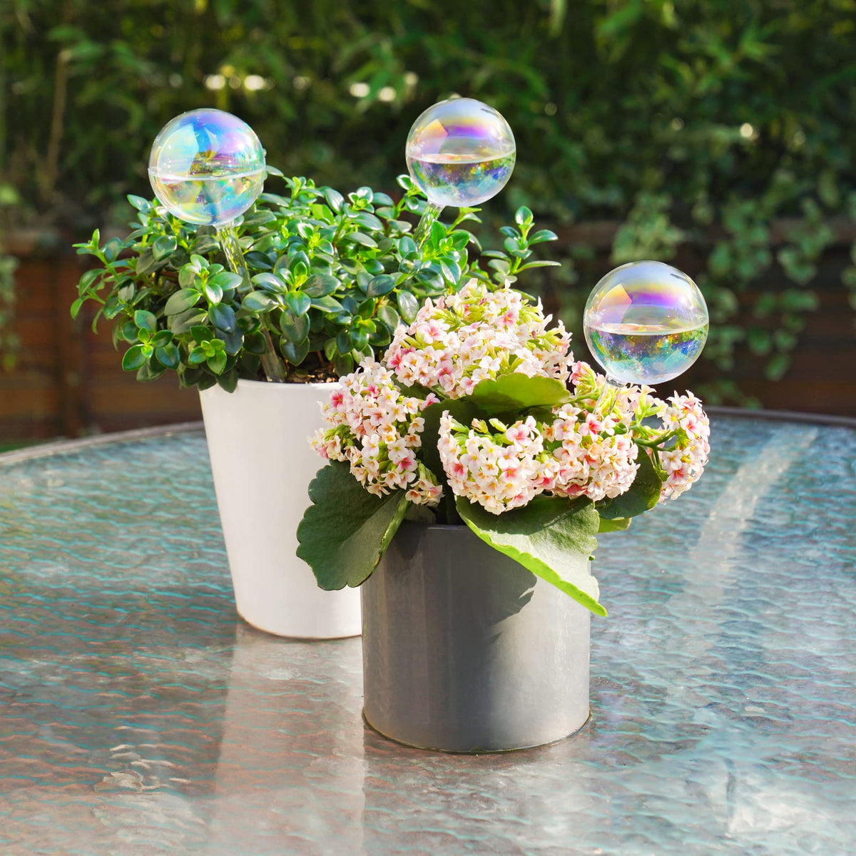 Tomorotec automatic plant waterer bulb ensures gentle hydration