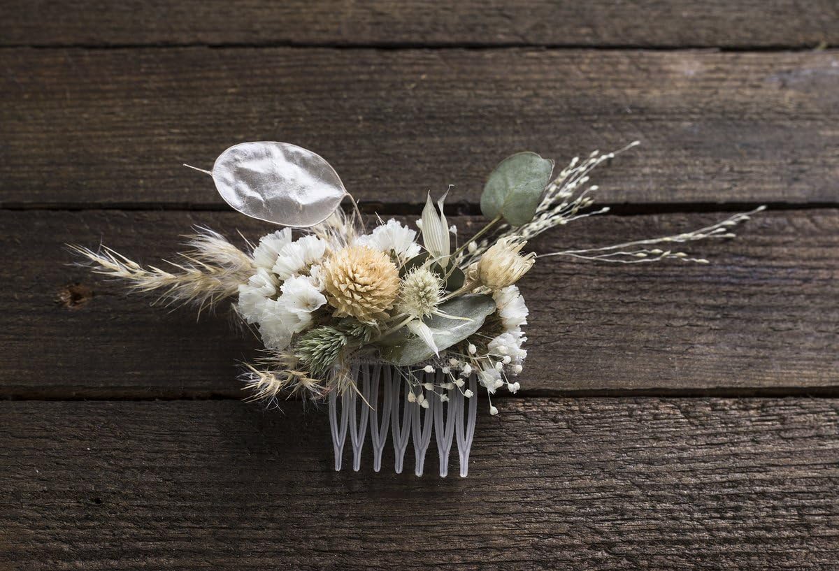 TomorrowSeeds Silver-dollar seed pods create focal points in gardens and crafts.