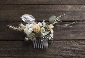 TomorrowSeeds Silver-dollar seed pods create focal points in gardens and crafts.