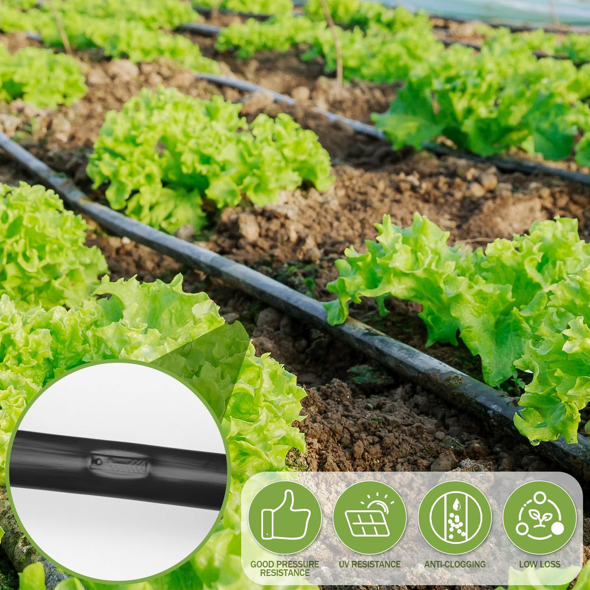 TonDiamo garden irrigation setup in use supports efficient watering