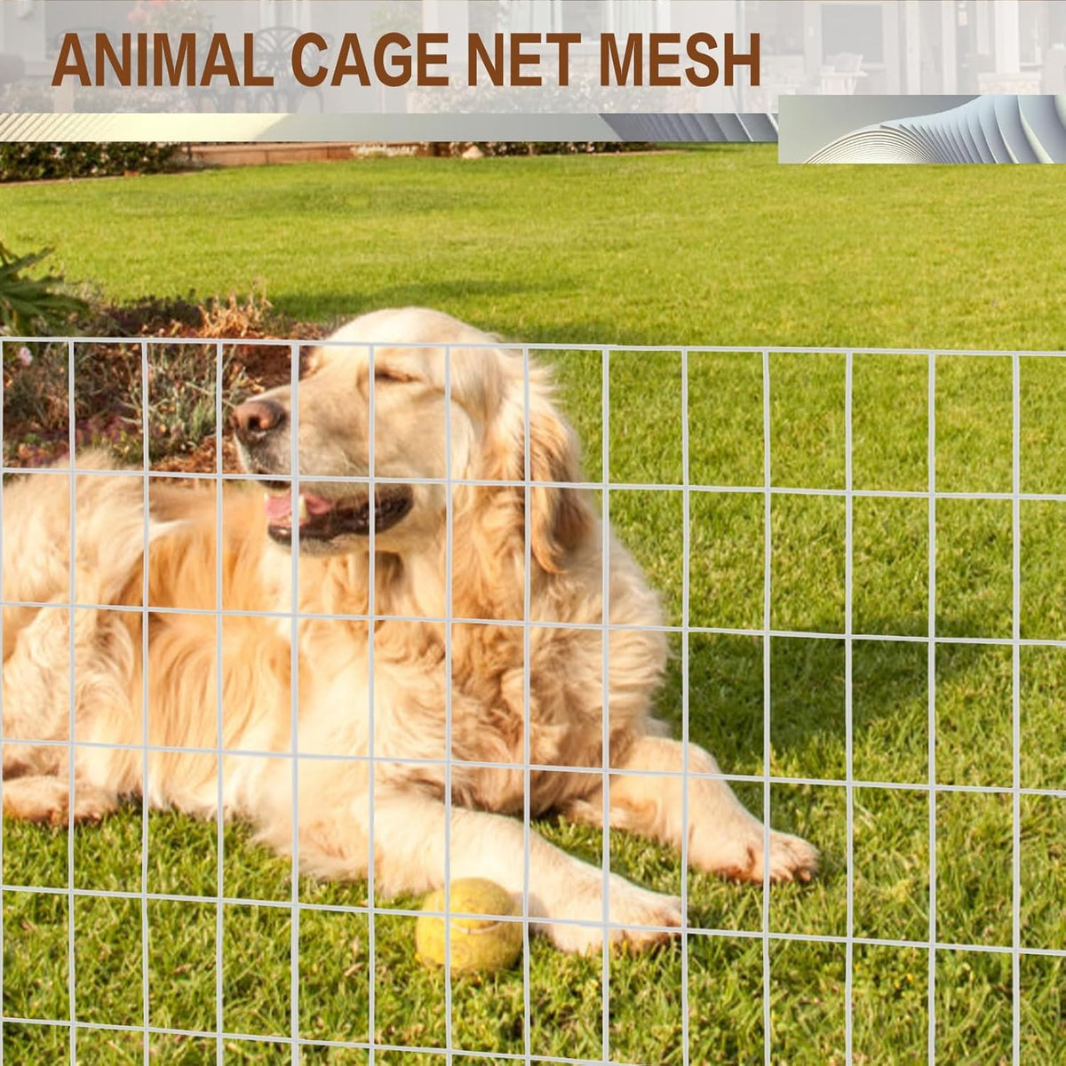 Tongmo chicken wire fence used to create poultry enclosure.