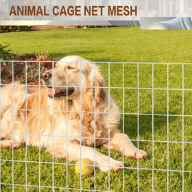 Tongmo chicken wire fence used to create poultry enclosure.